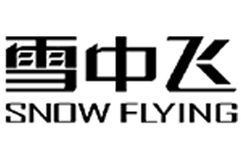 雪中飛